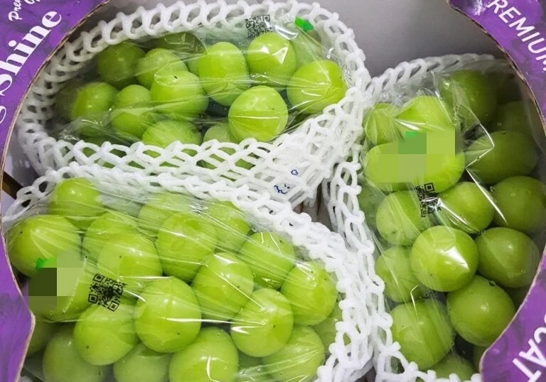 Nho mẫu đơn Hàn Quốc nửa triệu đồng/chùm ngon cỡ nào?