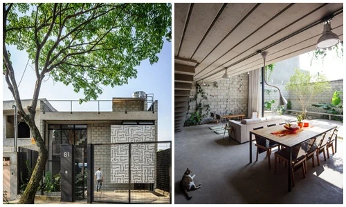 Trồng cây xanh ở mọi góc, nhà phố hòa mình giữa thiên nhiên