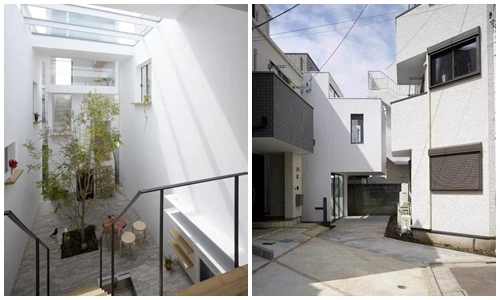 Khó tin nhà ống 50m2 có sân vườn xanh mướt 