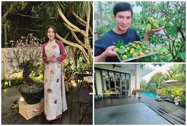 Biệt thự triệu đô xanh mướt ở ngoại thành của Lý Hải - Minh Hà