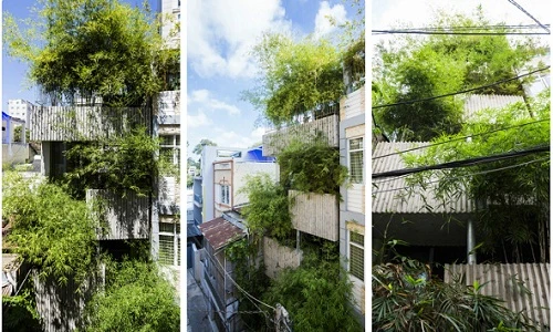 Ngắm nhà trồng tre đẹp như tranh vẽ ở TP HCM