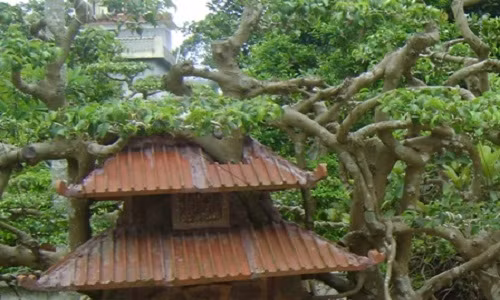 Kiệt tác sanh “Phố cổ Hà Nội” giá tỷ đồng chưa bán đẹp cỡ nào?