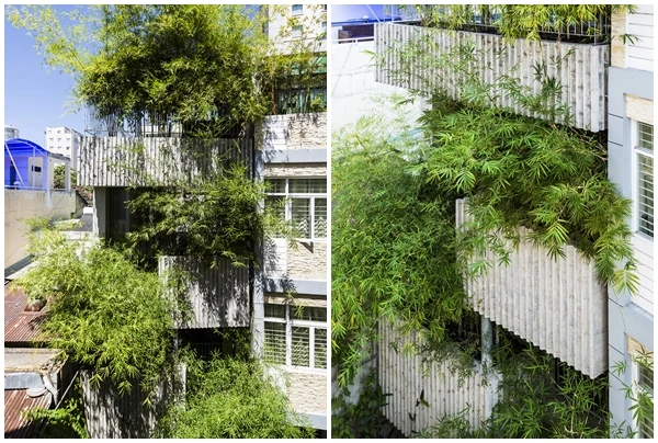 Ngôi nhà tre xanh mướt giữa lòng TP HCM khiến báo Mỹ “ngẩn ngơ“