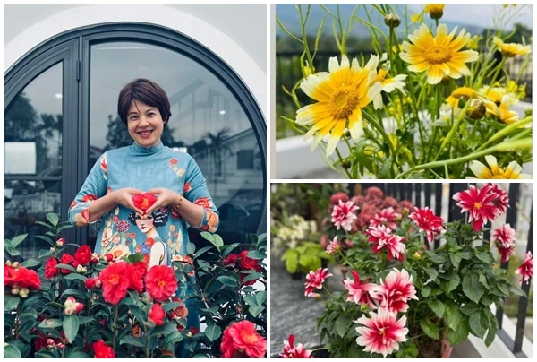 Bên trong khu vườn rực rỡ sắc hoa của MC Diễm Quỳnh