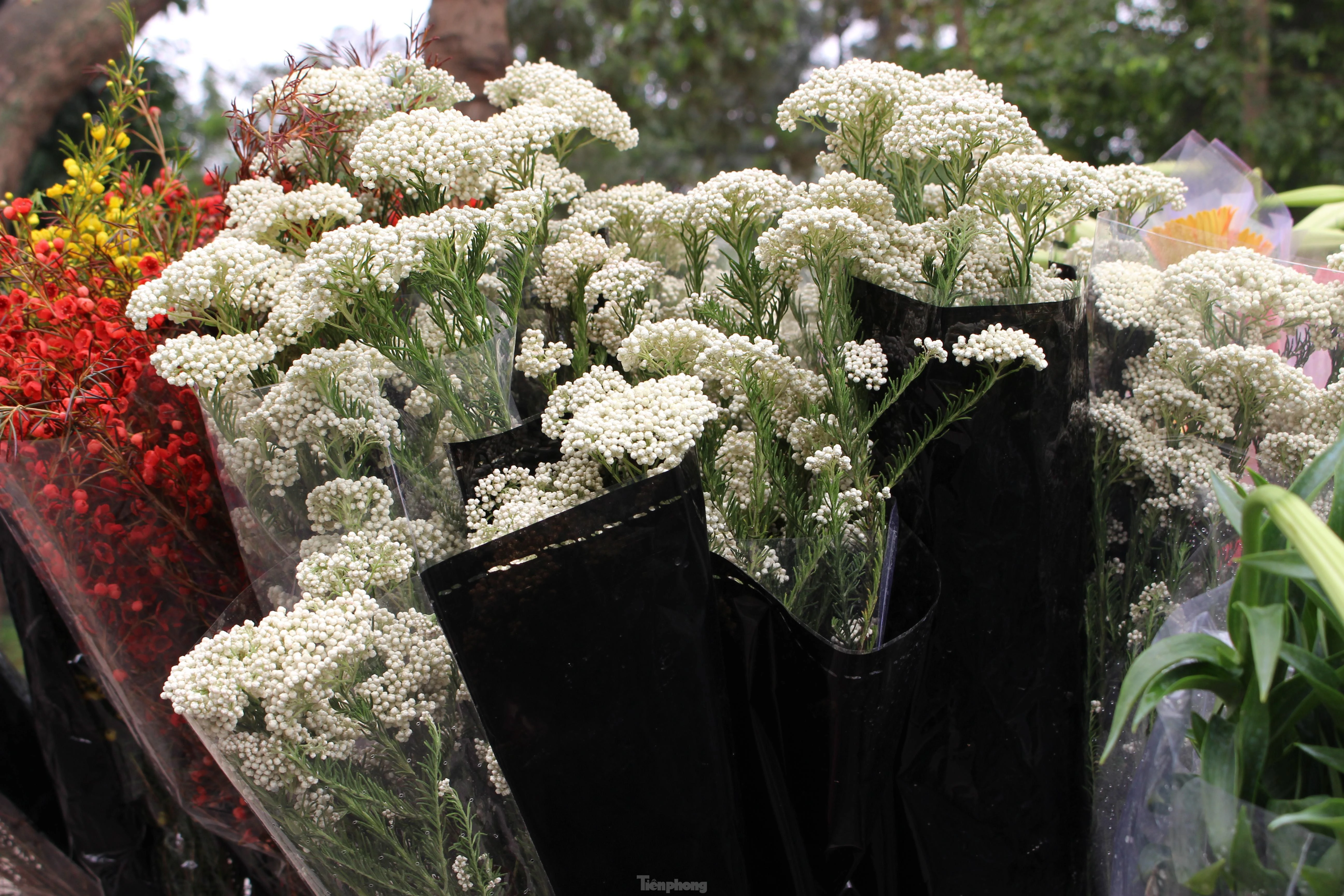 Ngồi nhà đăng hình chốt 20 đơn hoa baby gạo... doanh thu bạc triệu/ngày