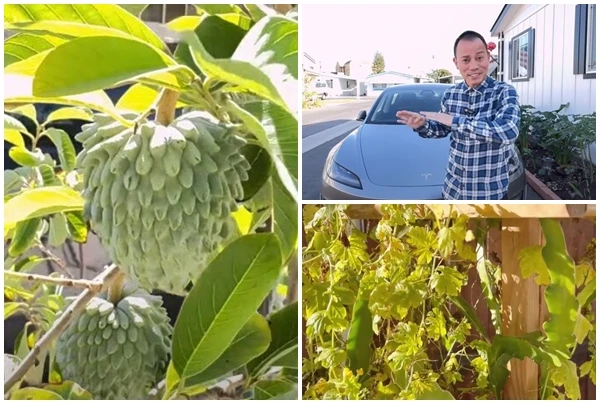 Bên trong ngôi nhà lắp ghép 100 m2 tại Mỹ của Chế Phong 