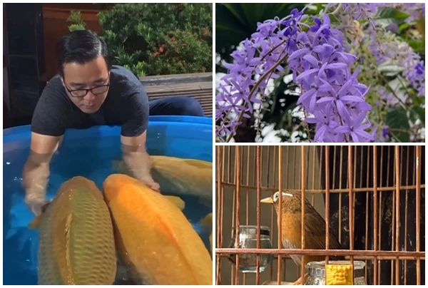 Cuộc sống hiện tại của “vua cá Koi” sau 2 năm ly hôn