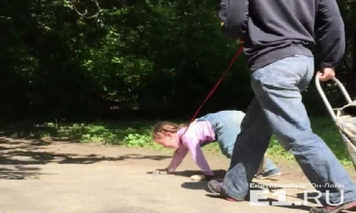 Video: Mẹ xích cổ con bắt bò trong công viên