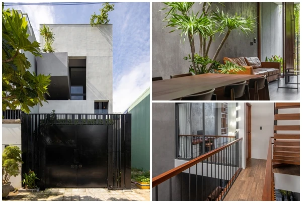 Kinh ngạc nhà ống biết “thở” giữa đô thị san sát ở Đà Nẵng