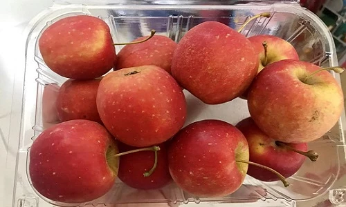 Cận cảnh táo mini Hàn Quốc nửa triệu đồng/kg hút khách Việt