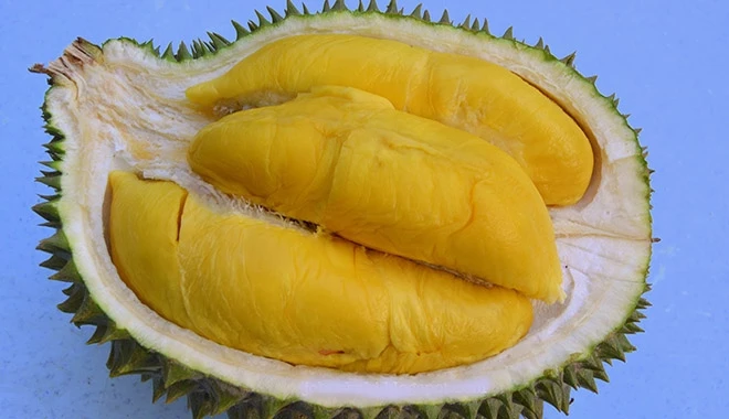 Nhìn "điểm này" để phân biệt sầu riêng chín cây với loại ngâm thuốc