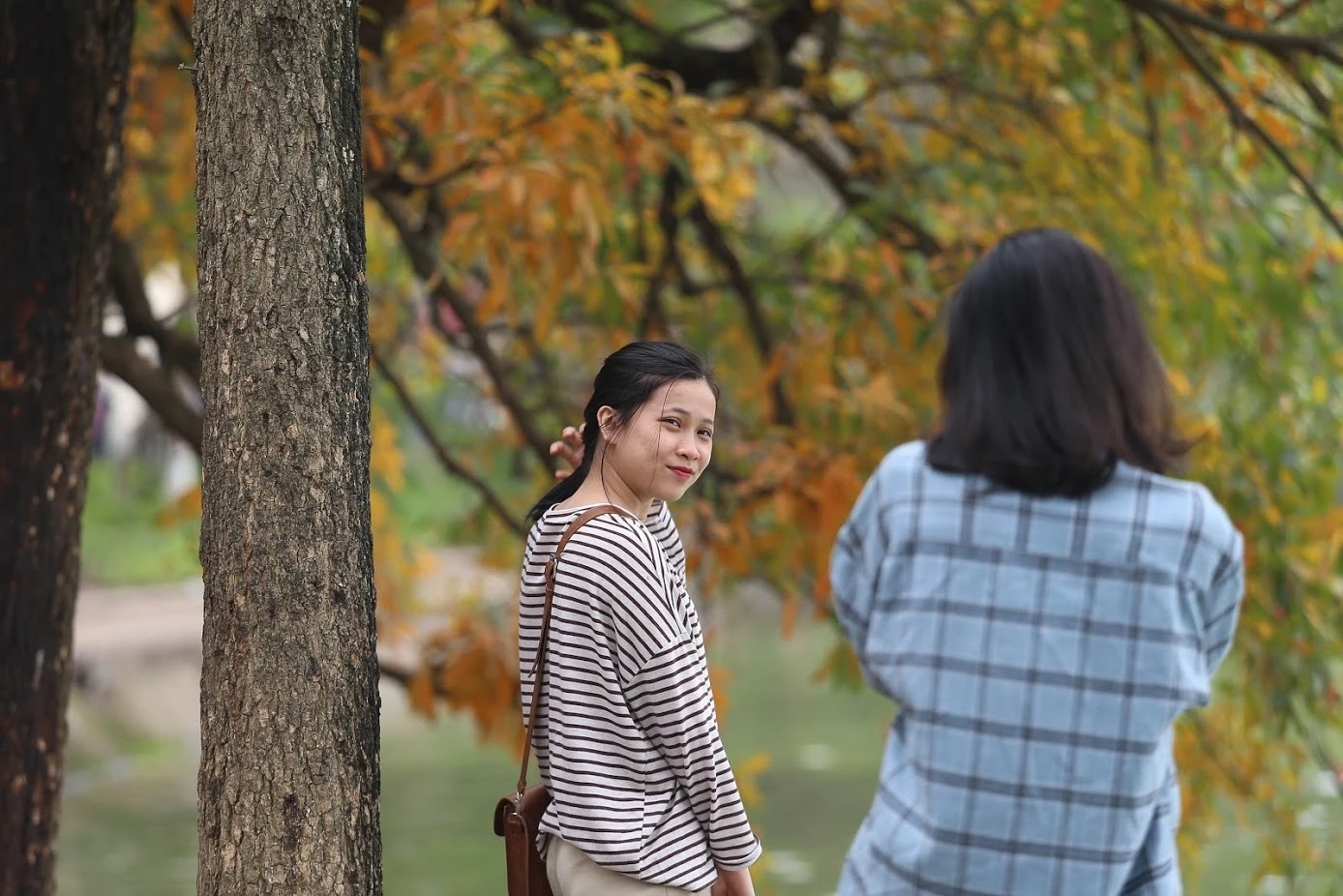 Chùm ảnh: Mãn nhãn ngắm Hà Nội đẹp chẳng kém Hàn Quốc mùa thay lá