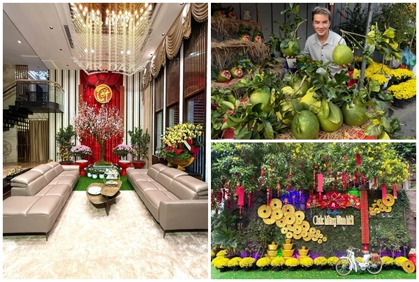 Biệt thự 60 tỷ của Đàm Vĩnh Hưng ngập tràn sắc xuân