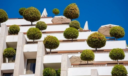 Choáng ngợp những khu vườn khủng nằm chình ình trên nóc nhà 