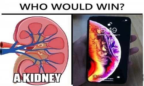 iPhone Xs vừa ra mắt, dân mạng thi nhau bán đủ mọi thứ “tậu dế“