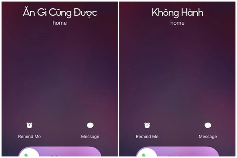 Soi cách đặt tên trong danh bạ điện thoại của hội có "gấu"