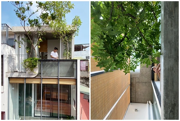 Sâu trong ngõ nhỏ, nhà Hà Nội vẫn thoáng sáng không ngờ