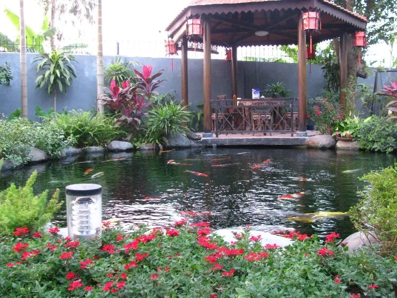 Cận cảnh sân vườn bắt mắt của “nhà giàu” Hà Nội