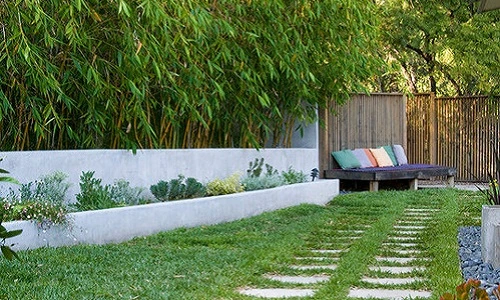 Ngắm không gian sân vườn tuyệt đẹp nhờ trồng tre cực khéo