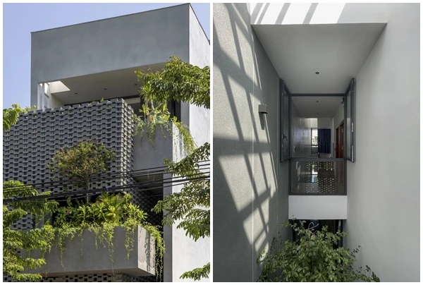 “Bọc” vỏ nhiệt đới bên ngoài, nhà ống Đà Nẵng mát rượi quanh năm