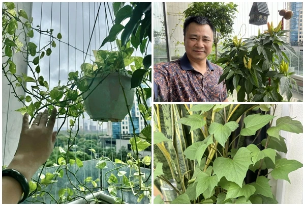 Góc ban công xanh mướt, đẹp miễn chê trong nhà NSND Tự Long