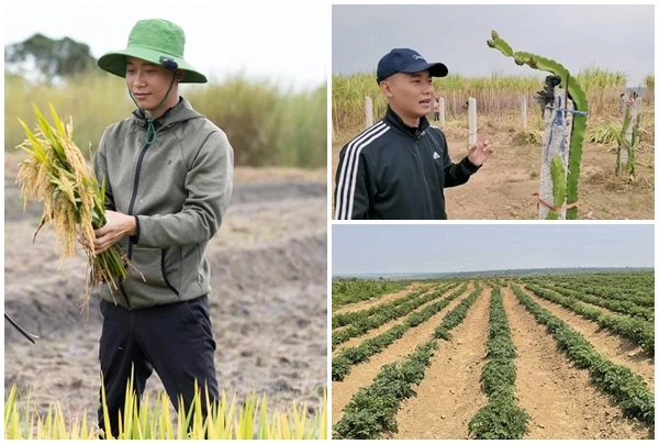 Toàn cảnh trang trại 14ha của Quang Linh Vlogs tại Châu Phi