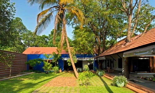 Nhà cấp 4 có cây đâm xuyên đẹp như resort 