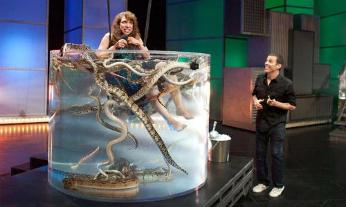 Màn hát karaoke trong bể rắn gây tranh cãi