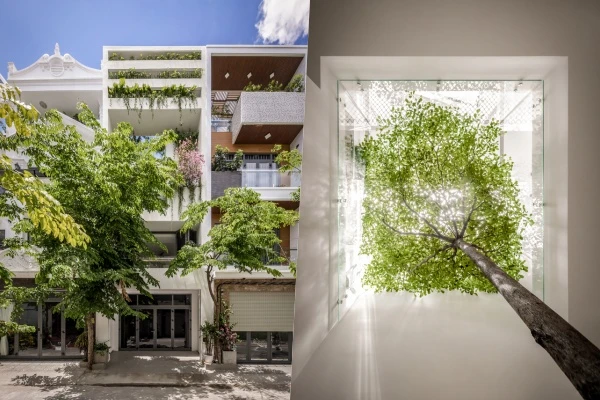 "Thở từ mọi không gian sống", nhà Sài Gòn khiến báo ngoại ngỡ ngàng