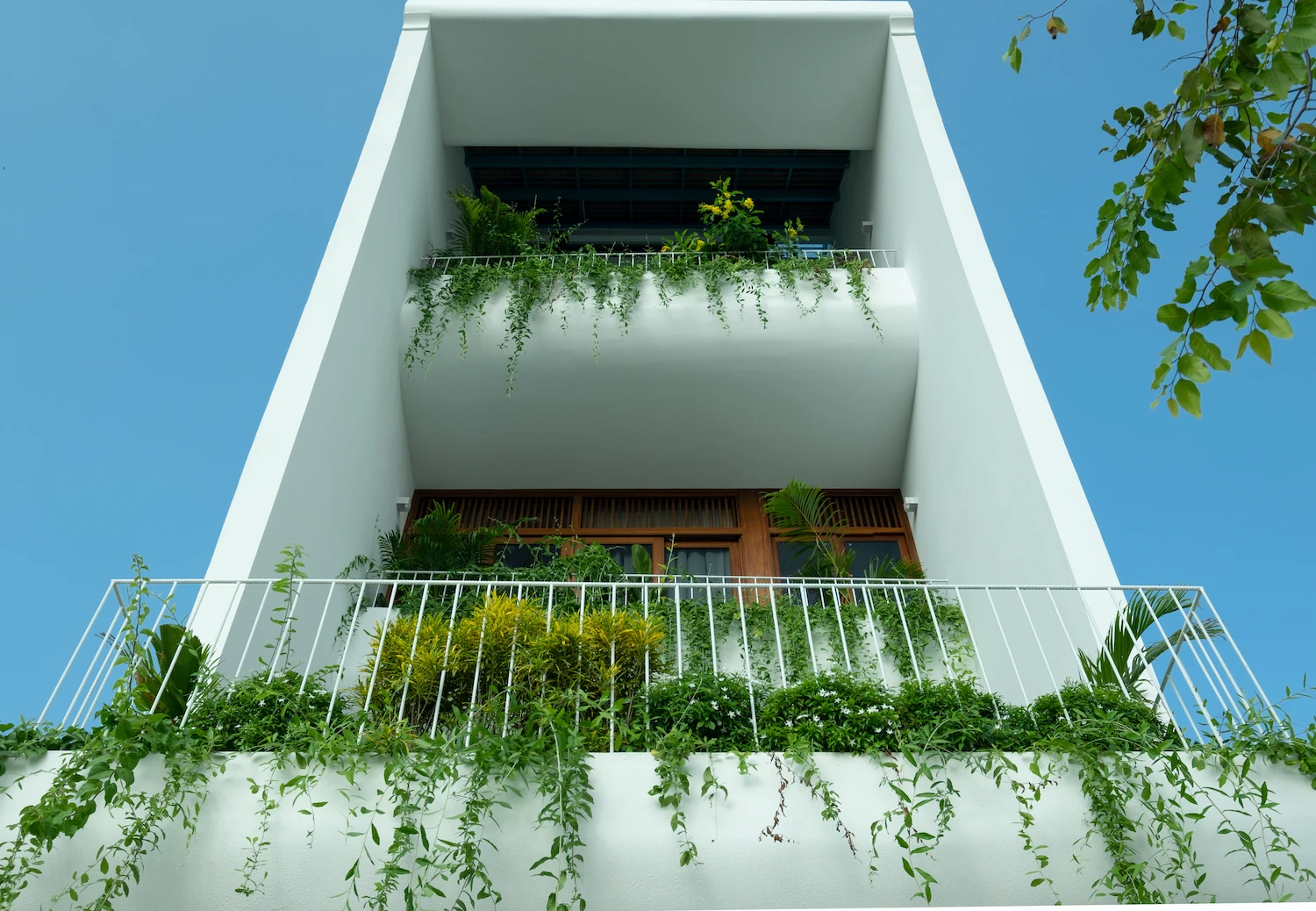 Ngôi nhà có 8 vườn bậc thang độc đáo giữa phố thị