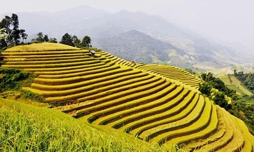 Những tour du lịch giá mềm hút khách dịp 2/9