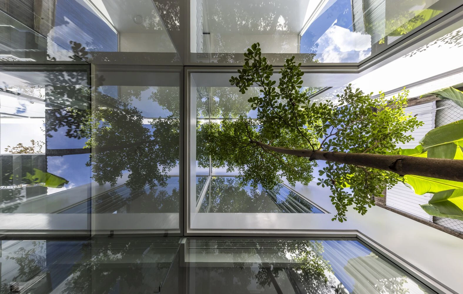 Báo Mỹ nức nở khen ngôi nhà “cắt làm đôi” độc đáo ở Huế