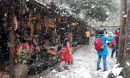 Đón Giáng sinh trong mưa tuyết Sa Pa, tại sao không?