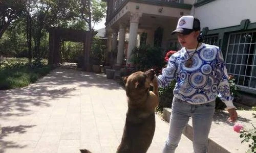 Khám phá biệt thự đẹp mê ly của “Võ Tắc Thiên” Lưu Hiểu Khánh