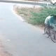 "Quái thú" lao ra quấn chặt bánh xe, 2 thanh niên khiếp vía