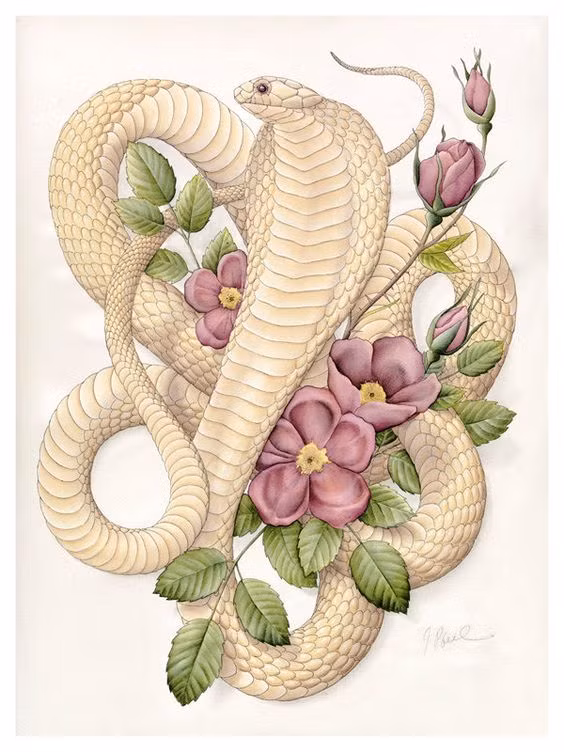 Để có sự nghiệp hanh thông, tiền tài rủng rỉnh, người tuổi Tỵ nên tiếp tục duy trì thái độ làm việc siêng năng và tỉ mỉ. Chỉ như vậy họ mới được cấp trên đánh giá cao, đồng nghiệp nể phục và tạo nhiều điều kiện để họ phát triển.