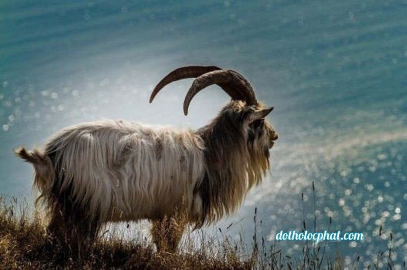 Bạn là người luôn xông pha trong mọi việc nhằm đạt được kết quả tốt nhất, để khẳng định bản thân. Thế nên những gì bạn có được trong thời gian này là hoàn toàn xứng đáng.