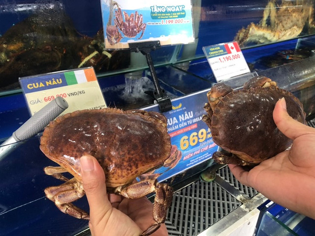 Cua siêu gạch tươi sống nhập khẩu rẻ chưa từng có, kèm miễn phí chế biến - Hình 5 Cua sieu gach tuoi song nhap khau re chua tung co, kem mien phi che bien-Hinh-5