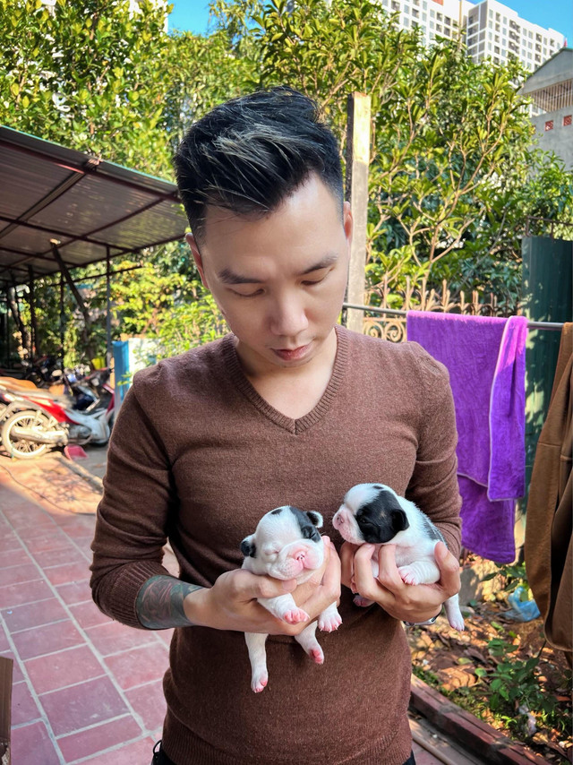 Nuôi chó Bull Pháp, thanh niên 9x Hà Nội sở hữu gia tài tiền tỷ - Hình 6 Nuoi cho Bull Phap, thanh nien 9x Ha Noi so huu gia tai tien ty-Hinh-6