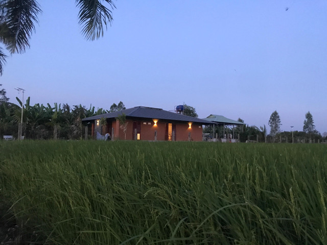 Nhà vườn ở Long An, lấy ý tưởng từ công trình cổ, cánh cửa độc lạ - Hình 35 Nha vuon o Long An, lay y tuong tu cong trinh co, canh cua doc la-Hinh-35