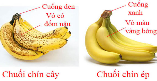 Chọn chuối muốn biết chín tự nhiên hay chứa hóa chất: Điểm này rõ nhất! - Hình 2 Chon chuoi muon biet chin tu nhien hay chua hoa chat: Diem nay ro nhat!-Hinh-2