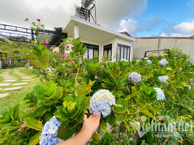 Mẹ đơn thân dựng nhà vườn nghỉ dưỡng 350 triệu đẹp như homestay tặng con - Hình 10 Me don than dung nha vuon nghi duong 350 trieu dep nhu homestay tang con-Hinh-10
