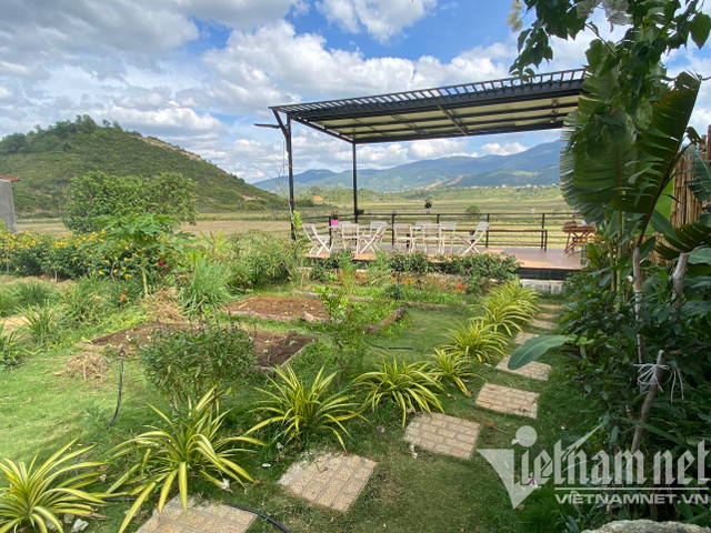 Mẹ đơn thân dựng nhà vườn nghỉ dưỡng 350 triệu đẹp như homestay tặng con - Hình 7 Me don than dung nha vuon nghi duong 350 trieu dep nhu homestay tang con-Hinh-7