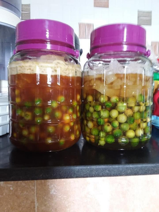 Vì sao loại chanh bé như quả quất mà giá ngất ngưởng? - Hình 3 Vi sao loai chanh be nhu qua quat ma gia ngat nguong?-Hinh-3