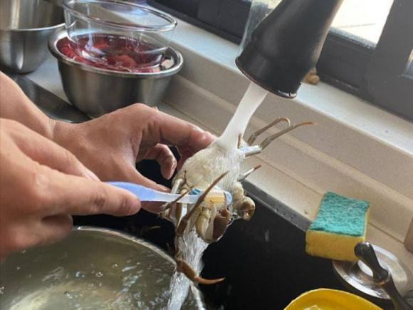 Mẹo phân biệt hấp cua nước lạnh và hấp cua nước nóng - Hình 2 Meo phan biet hap cua nuoc lanh va hap cua nuoc nong-Hinh-2