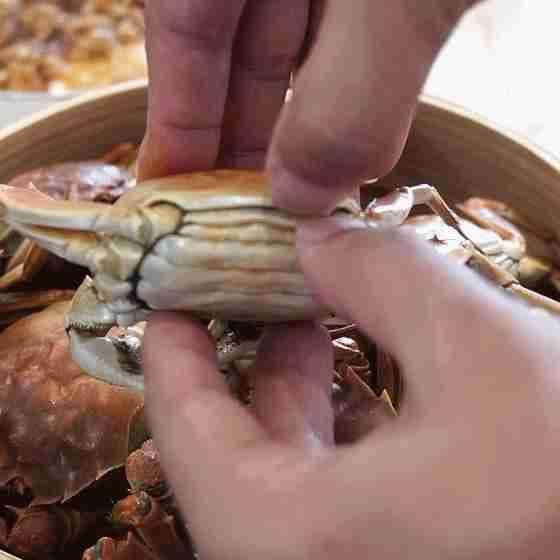 Mẹo phân biệt hấp cua nước lạnh và hấp cua nước nóng - Hình 3 Meo phan biet hap cua nuoc lanh va hap cua nuoc nong-Hinh-3