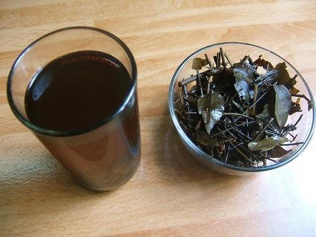Uống nhân trần và những đại kỵ để tránh sinh bệnh - Hình 3 Uong nhan tran va nhung dai ky de tranh sinh benh-Hinh-3