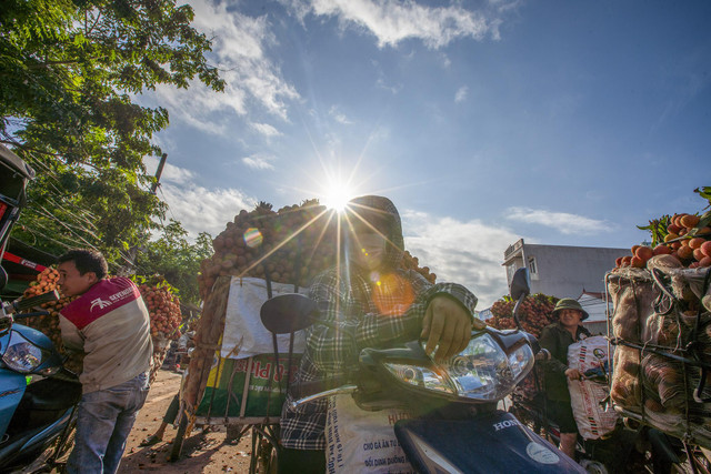 Chùm ảnh xe chở vải thiều ngập tràn mùa vụ tháng 7 - Hình 6 Chum anh xe cho vai thieu ngap tran mua vu thang 7-Hinh-6