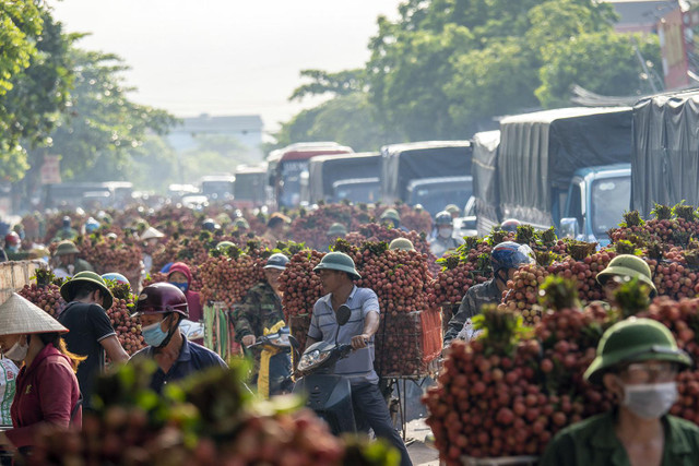 Chùm ảnh xe chở vải thiều ngập tràn mùa vụ tháng 7 - Hình 4 Chum anh xe cho vai thieu ngap tran mua vu thang 7-Hinh-4