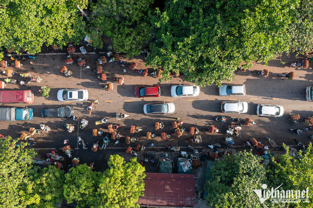 Chùm ảnh xe chở vải thiều ngập tràn mùa vụ tháng 7 - Hình 7 Chum anh xe cho vai thieu ngap tran mua vu thang 7-Hinh-7